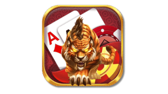 Dragon Tiger en Vivo